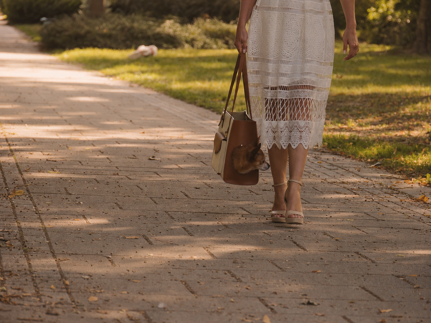 Femme promenant son chien dans le sac L’ORION