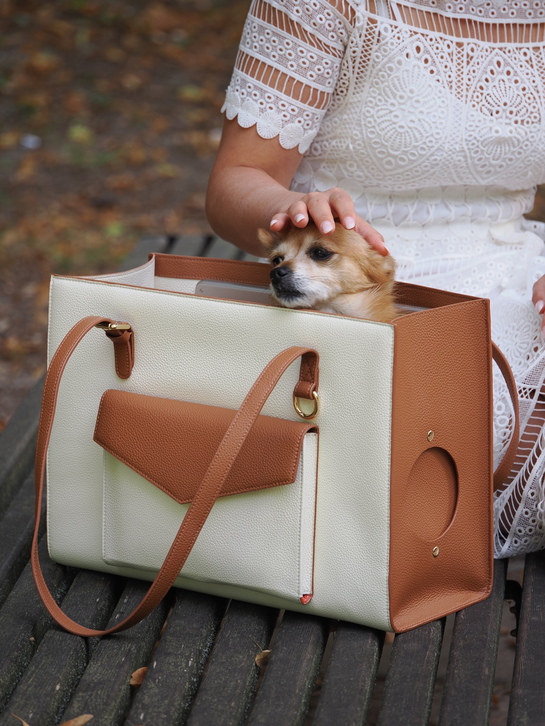 Chien installé dans le sac L'ORION ivoire et camel