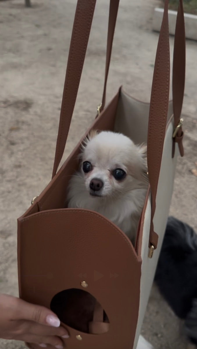 Chihuahua blanc dans le sac L’ORION